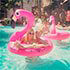 Pool Photo - Go Pool at Flamingo Las Vegas